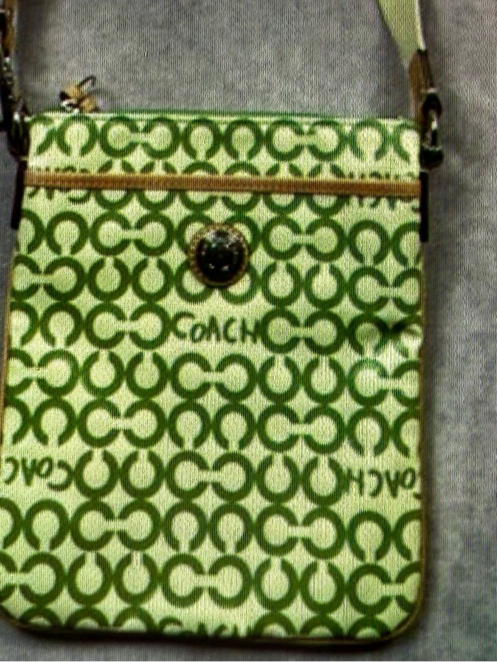 Coach Green Signature Crossbody Pouch with Tan Trim